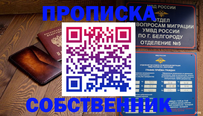временная регистрация 2025 в Михайловке